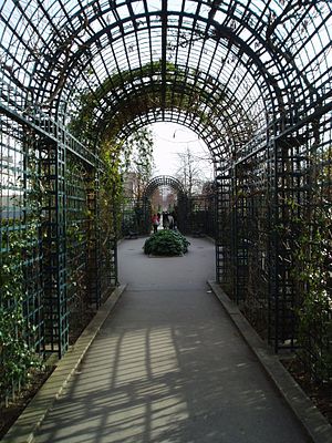 Promenade plantée in Paris, looking eastwards.